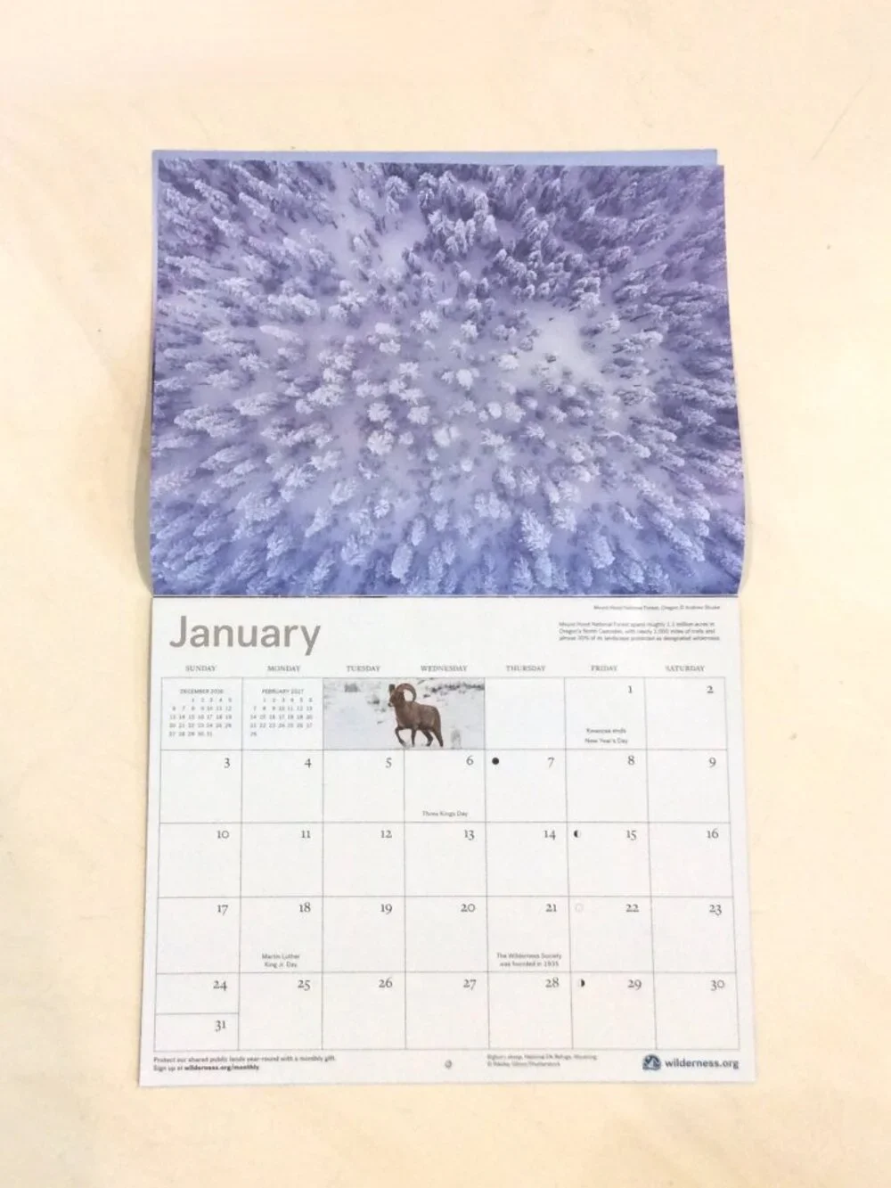 2027 The Wilderness Society 16-Month Wall Calendar Animals/Nature/Photography